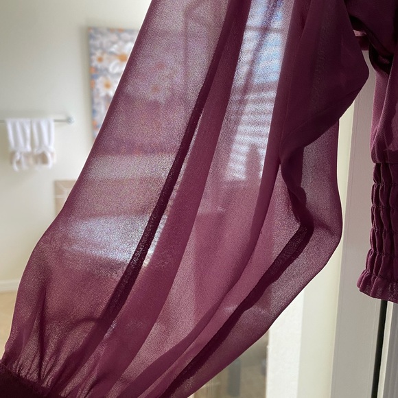 Designer Sheer Blouse - Picture 4 of 4